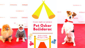 Read more about the article Pet Oskar – Božidarac